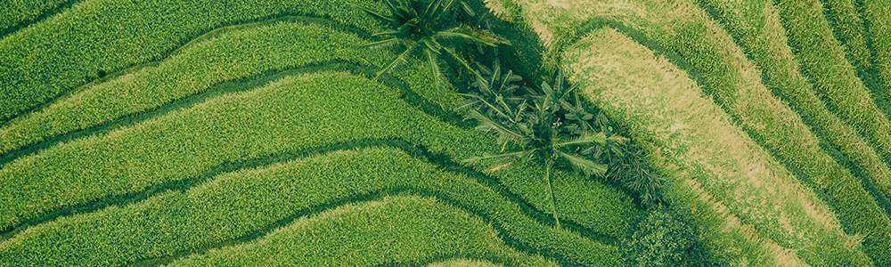 Pastor Adejumo Hassan